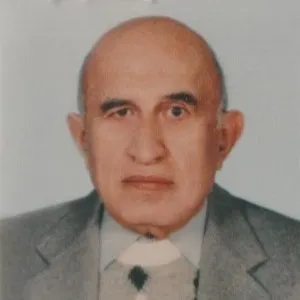 Mehmet Fikri Seyhan