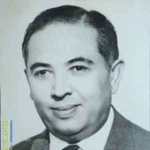 Niyazi Akı (Vali)