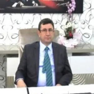 Ali Fuat Türkel