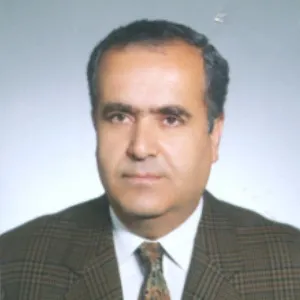 Hamza Zülfikar