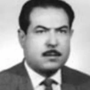 Lütfi Evliyaoğlu