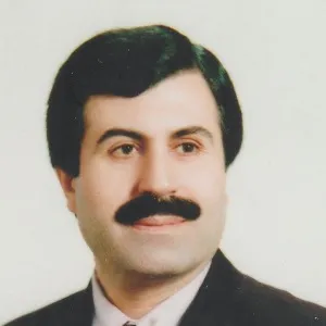 Ali Seydi (Erzincanlı)