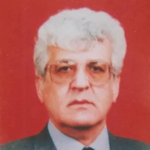İsmet Binark