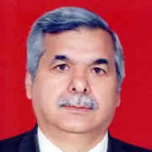 Ender Karagül
