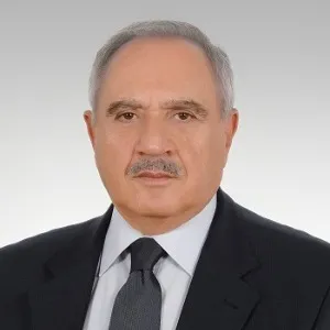 Mehmet Vecdi Gönül