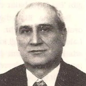 Nebil Büyükpamukçu