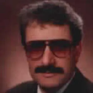 Ali Çelik (Akademisyen)