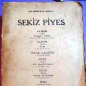 Ali Mustafa Soylu