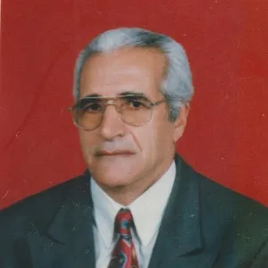 Mehmet Okur (Tuncelili)