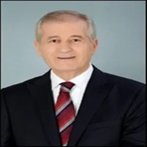 Mehmet Çevik (Siyasetçi)
