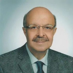 Turgay Budak