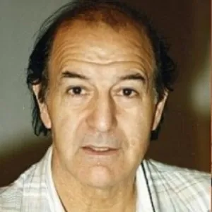 Demiray Erül
