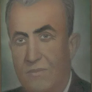Halûk Nihat Pepeyi