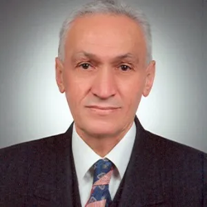 Hasan Tuluk