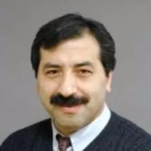 Metin Buz