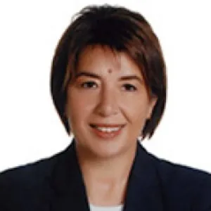 Ayşe Nur Bahçekapalı