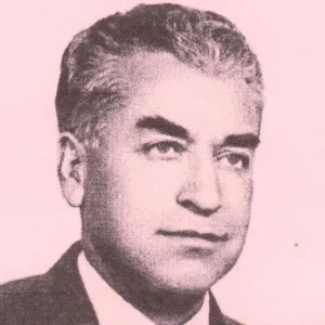 Hüsnü Dikeçligil