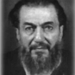 Mehmet Feyzi Şallıoğlu