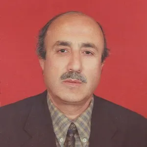 Necmeddin Şahiner