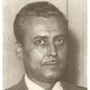 Mithat Perin