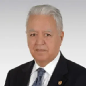 Faruk Loğoğlu