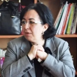 Nergis Biray
