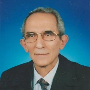 Nazmi Alper Tanrıverdi