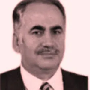 Ali Ayhan Çetin
