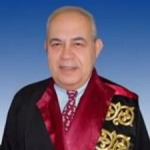 Mehmet Feridun Aksu