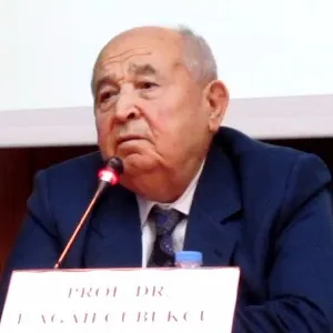 İbrahim Agah Çubukçu