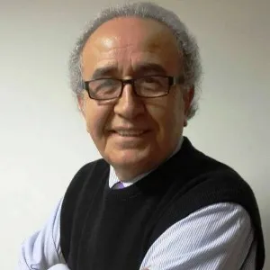 Barış Erdoğan (Mersinli)