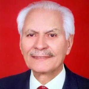 Mehmet Emiroğlu
