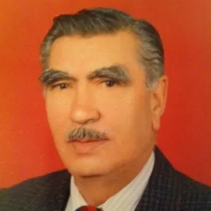 Yusuf Ziya Ayrım