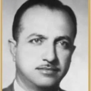 Şadi Binay