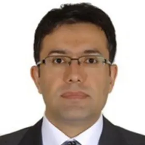 Ali Çelik (Vali)