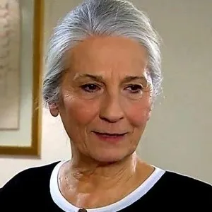 Yıldız Kültür