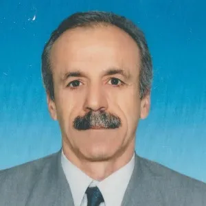 Yaşar Akgül