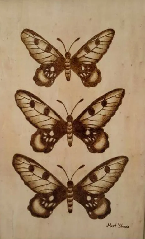 Ahşap yakma pano 2, 2015