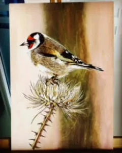 Kuş resmi, 2017