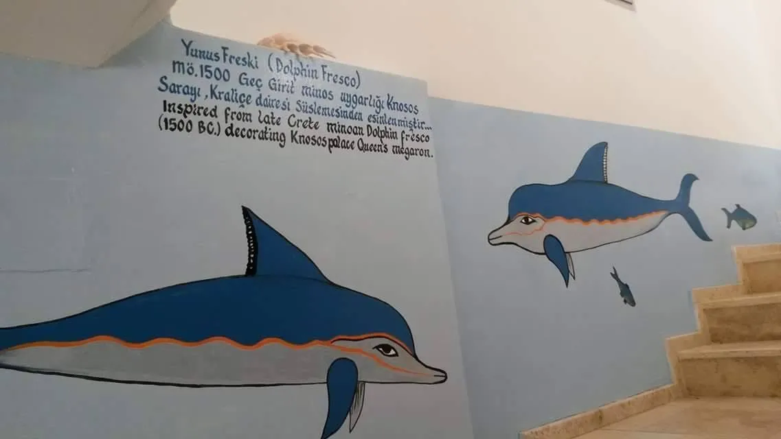 Ahmet Tufaner, örnek 12